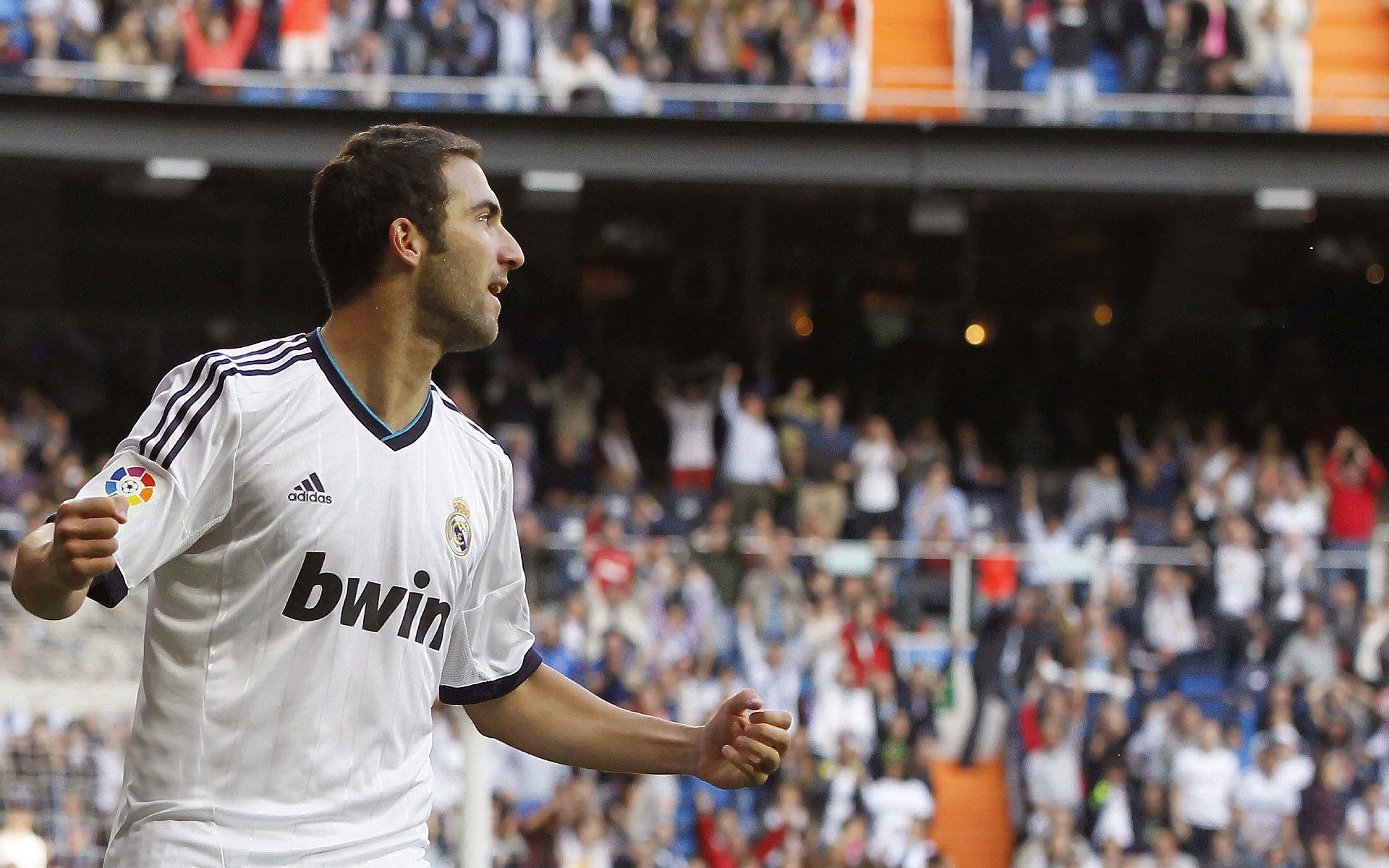 搏击赛场新星异军突起表现抢眼，最新搏击视频比赛